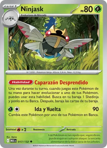 Ninjask · 017