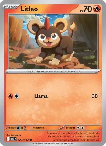 Litleo · 023