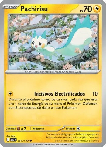 Pachirisu · 051