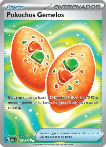 Pokochos Gemelos · 167