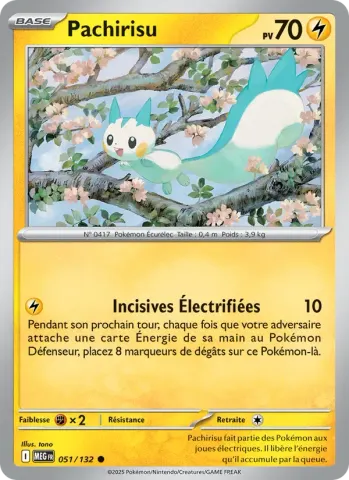 Pachirisu · 051