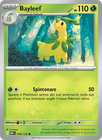 Bayleef · 009