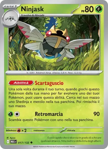 Ninjask · 017