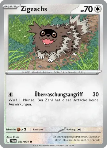 Zigzachs · 081