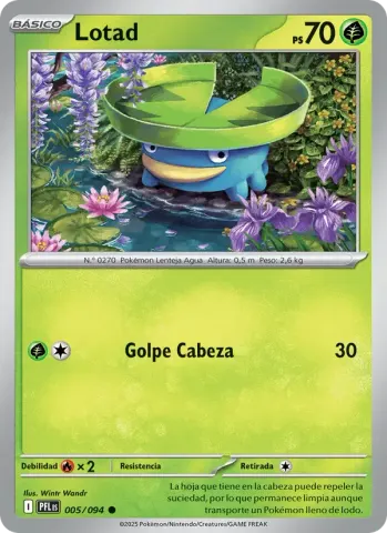 Lotad · 005