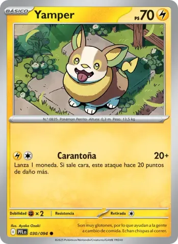 Yamper · 030