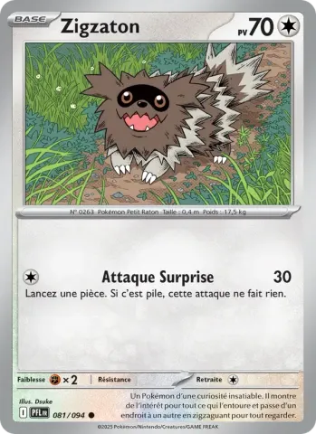 Zigzaton · 081