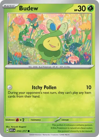 Budew · 016