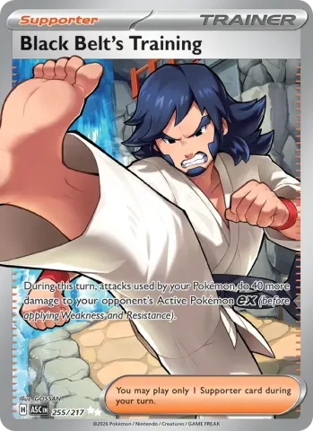 Black Belt's Training · 255