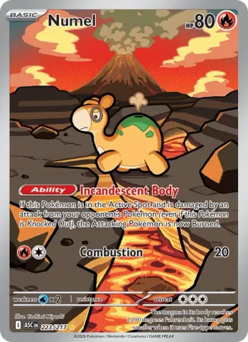 Numel · 223