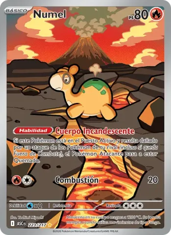Numel · 223