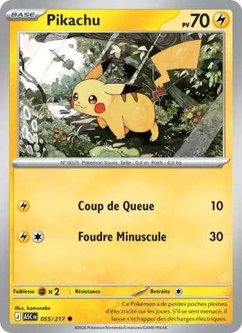 Pikachu · 055