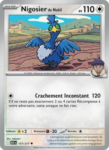 Nigosier de Nabil · 177