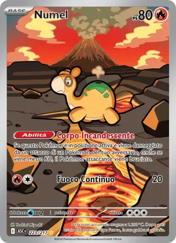 Numel · 223