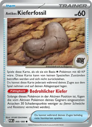 Antikes Kieferfossil · 068