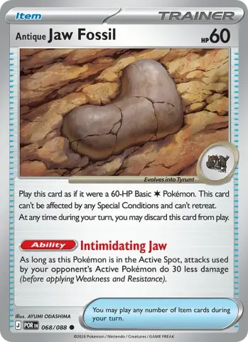 Antique Jaw Fossil · 068