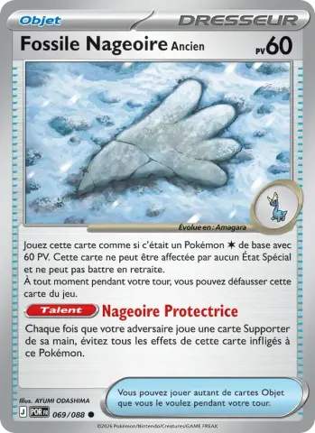 Fossile Nageoire Ancien · 069