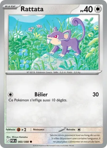 Rattata · 060
