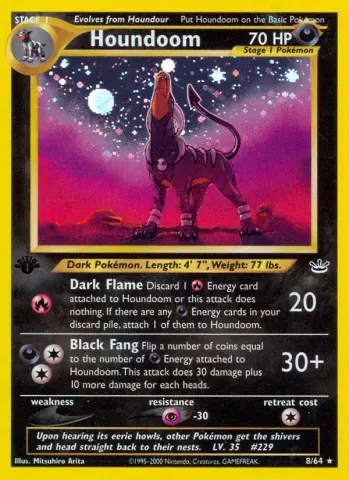 Houndoom · 8