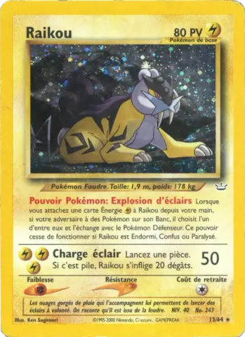 Raikou · 13