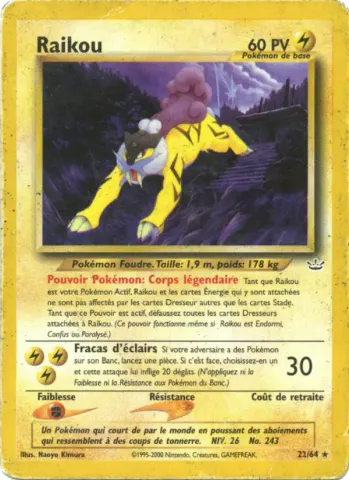 Raikou · 22