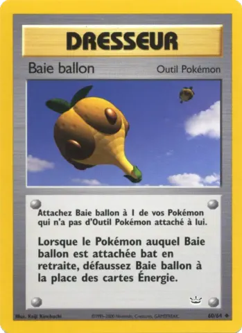 Baie ballon · 60