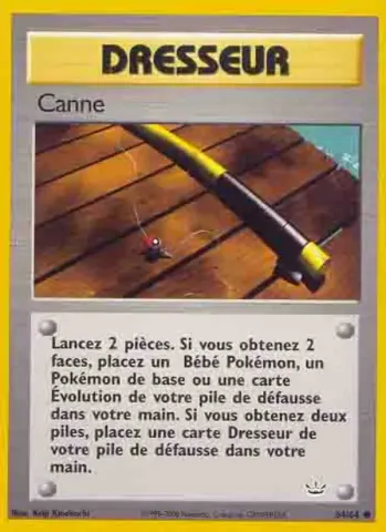Canne · 64