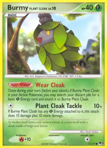 Cheniti Cape Plante · 11