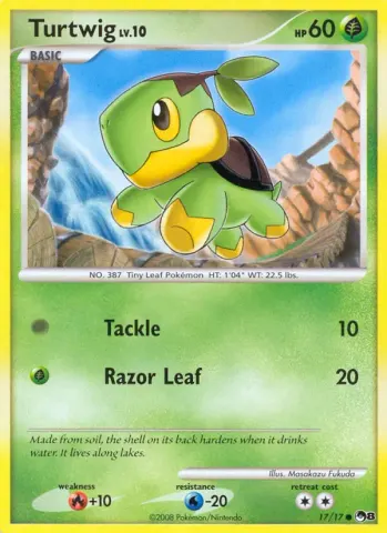 Turtwig · 17
