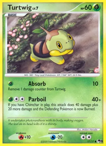 Turtwig · 17