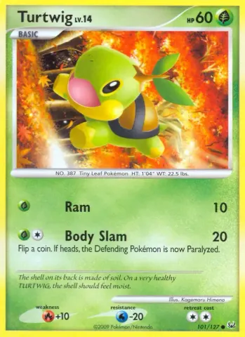 Turtwig · 101