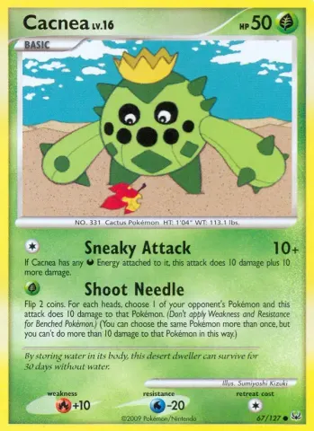 Cacnea · 67