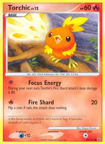 Torchic · 99
