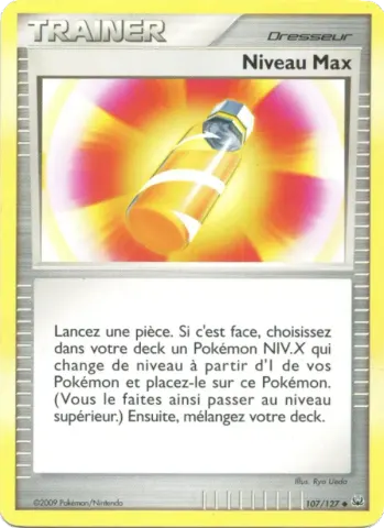 Niveau Max · 107