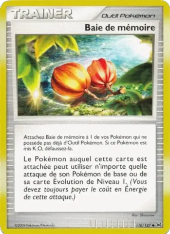 Baie de mémoire · 110