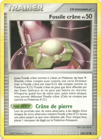 Fossile Crâne · 120