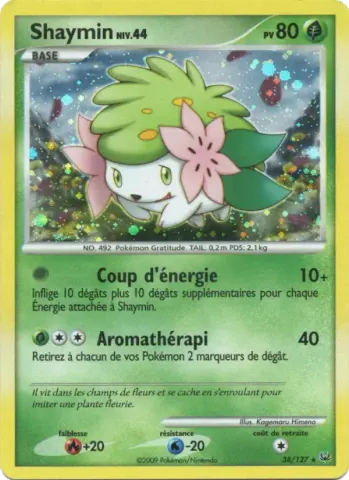Shaymin · 38
