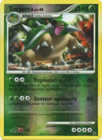 Torterra · 39