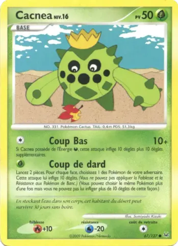 Cacnea · 67
