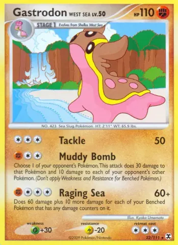Gastrodon Westliches Meer · 22