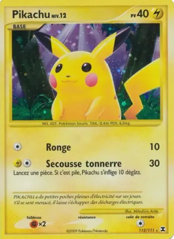 Pikachu Niv. 12 · 112