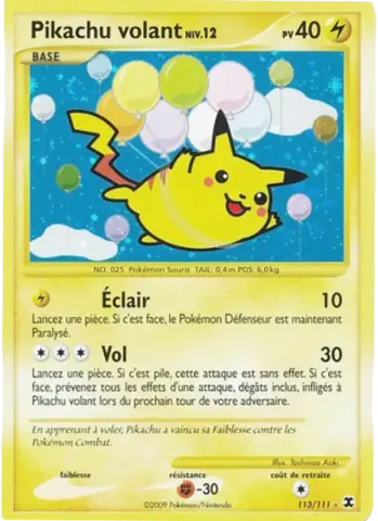 Pikachu volant Niv. 12 · 113