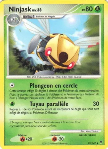 Ninjask · 73