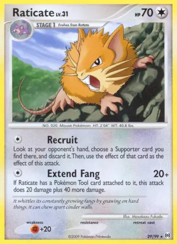 Raticate · 29