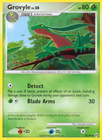 Grovyle · 38