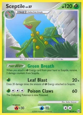 Sceptile · 30