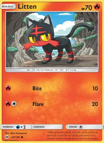 Litten · 24