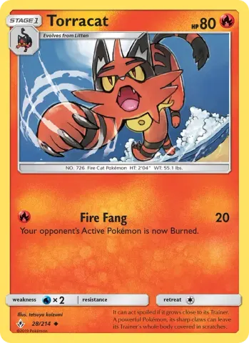 Torracat · 28