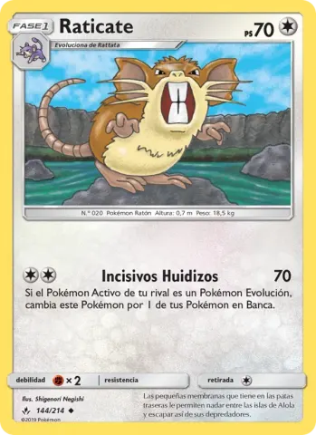 Raticate · 144