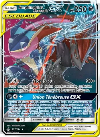 Amphinobi et Zoroark GX · 107